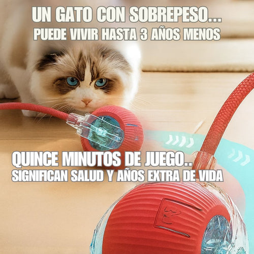 Smart Cat Ball – Salud en Movimiento