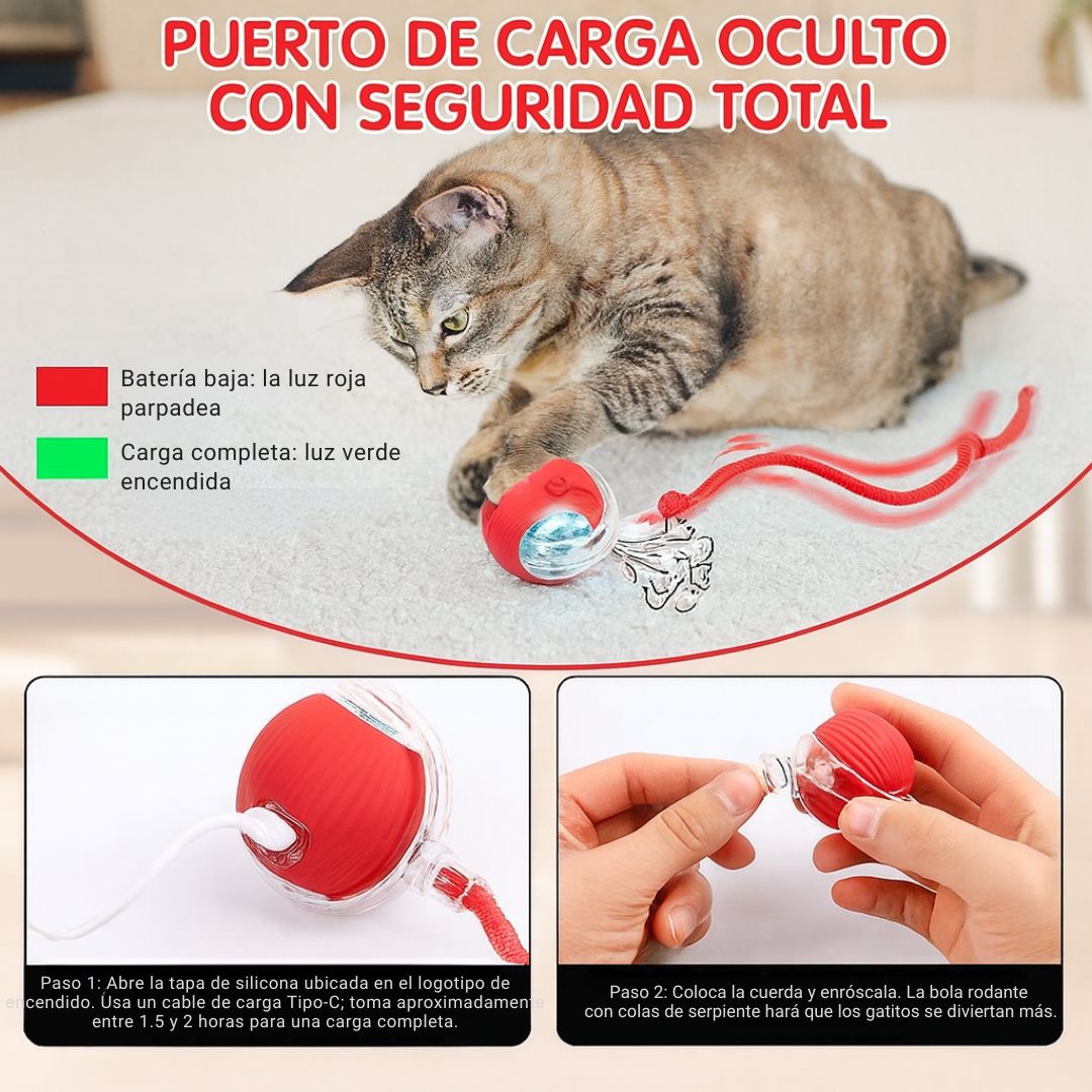 Smart Cat Ball – Salud en Movimiento