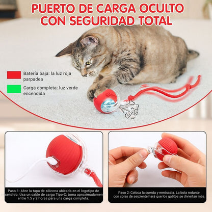 Smart Cat Ball – Salud en Movimiento
