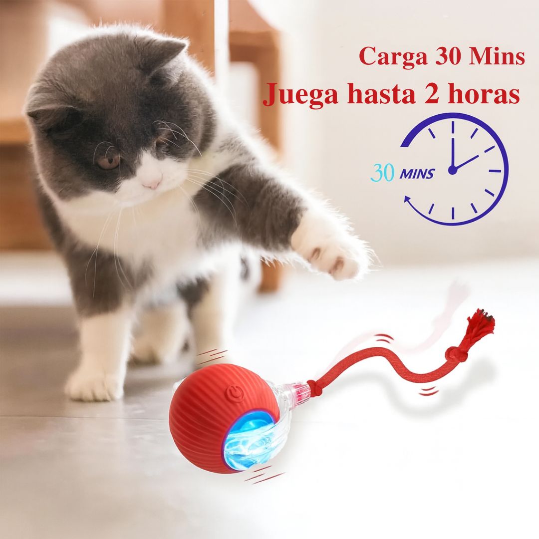 Smart Cat Ball – Salud en Movimiento